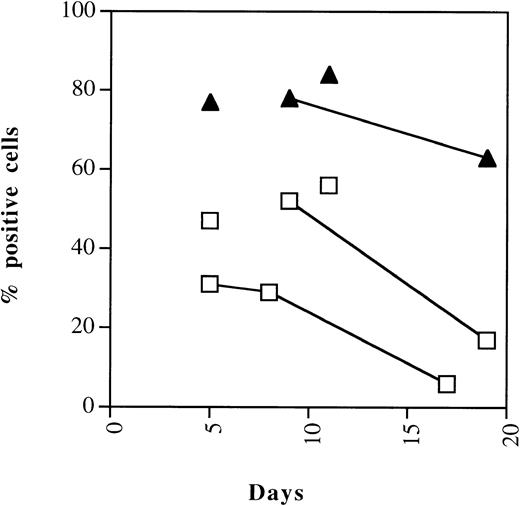 Fig. 8. Kinetics of cdk-inhibitor expression during myelopoiesis. Flow cytometric quantitation of expression of the p21 and p27 cdki’s in differentiating CD34+ cells analyzed overtime. Representative results of two experiments. Samples shown are derived from the same cord.
