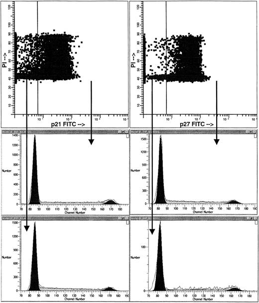 Fig. 10. Partitioning of p27-expressing and p21-expressing cells within the cell cycle. Cord blood CD34+ cells differentiated for 5 days were analyzed simultaneously for p27 expression and cell-cycle distribution (left) or for p21 expression and cell-cycle distribution (right). Ninety-three percent of cells were positive and 7% were negative for p27. Sixty-one percent of cells were positive and 39% were negative for p21. Isotype gates and representation of cellular populations are as in Fig 10. p27 (left) and p21 (right)-negative cells at bottom; p27 (left) and p21 (right)-positive cells in middle. As is evident, the cell-cycle profile of cdki-positive and -negative cells is similar.