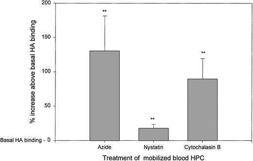 Fig. 6. HA binding by mobilized blood HPCs is increased when cell metabolism, lipid rafts, or cytoskeletal assembly are inhibited. Mobilized blood HPCs from 6 different individuals were treated with sodium azide, nystatin, or cytochalasin B as indicated in Materials and Methods, followed by the addition of HA-FITC and then MoAbs to stain HPCs. The same pattern was observed for all 6 samples. The percentage of increase above basal HA binding (set as 100%) in the absence of these inhibitors was calculated as the MFI of HA binding in the treated cultures divided by that of the control cultures × 100 − 100%. For azide, the mean was 130% ± 25%; for nystatin, the mean was 18% ± 3%; and for cytochalasin B, the mean was 89% ± 15% increase above basal HA binding.**P < .01 as compared with the basal HA binding of untreated HPCs. The pattern of inhibition for all three agents was the same for all 6 patient samples analyzed.