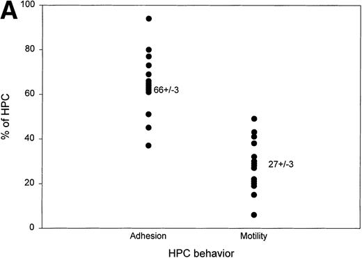 Fig. 7. For HPCs, CD44/β1 integrin mediates adhesion and RHAMM/β1 integrin mediates motility. (A) Sorted CD34+45loSSClo cells were deposited into chambers coated with fibronectin, together with soluble HA, and their behavior was monitored by time lapse microscopy. Cell adhesion was defined as the number of cells remaining stationary (not floating) throughout the period of analysis. Most were deforming cells. Cell motility was defined as the number of cells that migrated a distance of at least one cell diameter during the period of analysis (13 mobilized blood and 2 steady-state BM). The values for steady-state BM were 23% to 28% motile and 36% to 61% adherent HPCs. For each sample of sorted HPCs, we analyzed the cells in at least three fields (100 to 150 total cells) to permit analysis of at least 60 adherent cells and at least 20 motile cells. The data points represent the aggregate values of all fields for each individual HPC sample. (B) For this representative sample, HPCs were pretreated with either IgG1 isotype-matched control, anti-RHAMM, anti-β1 integrin, or anti-CD44 before the time lapse microscopy and image collection. RHAMM and CD44 MoAbs serve as reciprocal internal specificity controls for inhibition of adhesion () and motility (▪), respectively. Similar experimental results for each MoAb were obtained for 3 to 6 individual HPC populations (8 mobilized blood and 1 steady-state BM). All experiments included an aliquot of sorted cells treated with an isotype-matched control MoAb and 2 to 3 of the test MoAbs. For 2 mobilized blood samples, sufficient cells were available to test the isotype control and all 3 test MoAbs in the same experiment.