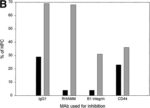 Fig. 7. For HPCs, CD44/β1 integrin mediates adhesion and RHAMM/β1 integrin mediates motility. (A) Sorted CD34+45loSSClo cells were deposited into chambers coated with fibronectin, together with soluble HA, and their behavior was monitored by time lapse microscopy. Cell adhesion was defined as the number of cells remaining stationary (not floating) throughout the period of analysis. Most were deforming cells. Cell motility was defined as the number of cells that migrated a distance of at least one cell diameter during the period of analysis (13 mobilized blood and 2 steady-state BM). The values for steady-state BM were 23% to 28% motile and 36% to 61% adherent HPCs. For each sample of sorted HPCs, we analyzed the cells in at least three fields (100 to 150 total cells) to permit analysis of at least 60 adherent cells and at least 20 motile cells. The data points represent the aggregate values of all fields for each individual HPC sample. (B) For this representative sample, HPCs were pretreated with either IgG1 isotype-matched control, anti-RHAMM, anti-β1 integrin, or anti-CD44 before the time lapse microscopy and image collection. RHAMM and CD44 MoAbs serve as reciprocal internal specificity controls for inhibition of adhesion () and motility (▪), respectively. Similar experimental results for each MoAb were obtained for 3 to 6 individual HPC populations (8 mobilized blood and 1 steady-state BM). All experiments included an aliquot of sorted cells treated with an isotype-matched control MoAb and 2 to 3 of the test MoAbs. For 2 mobilized blood samples, sufficient cells were available to test the isotype control and all 3 test MoAbs in the same experiment.