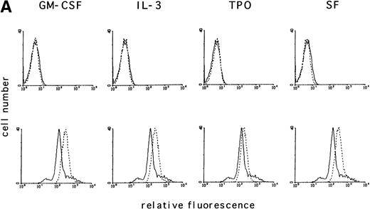 Fig. 1. GM-CSF, IL-3, SF, and TPO increase the intracellular level of ROS in hematopoietic cell lines. (A through C) The relative levels of ROS were measured in starved cells (dotted line) and in growth factor-treated cells (straight line) as indicated using 2’, 7’-dichloro-fluorescin-diacetate (bottom panel) or the autofluorescence of these cells was measured without fluorochrome (top panel). (A) MO7e cells were treated with either GM-CSF (10 ng/mL), IL-3 (10 ng/mL), SF (20 ng/mL), or TPO (100 ng/mL) for 18 hours. (B) TF1 cells were treated with either GM-CSF (10 ng/mL) or IL-3 (10 ng/mL) for 18 hours. (C) 32Dcl3 cells were treated with IL-3 (10 ng/mL) for 18 hours. (D) The increase in relative levels of ROS was measured in MO7e cells stimulated for 0 to 18 hours with 20 ng/mL GM-CSF.