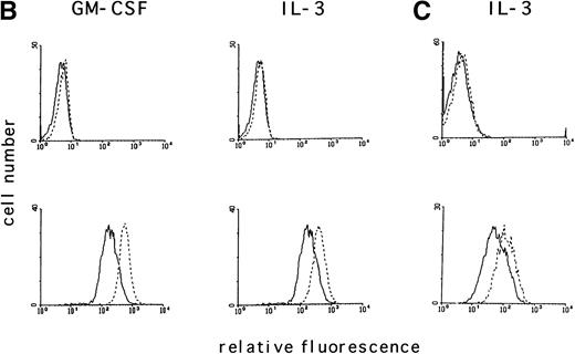 Fig. 1. GM-CSF, IL-3, SF, and TPO increase the intracellular level of ROS in hematopoietic cell lines. (A through C) The relative levels of ROS were measured in starved cells (dotted line) and in growth factor-treated cells (straight line) as indicated using 2’, 7’-dichloro-fluorescin-diacetate (bottom panel) or the autofluorescence of these cells was measured without fluorochrome (top panel). (A) MO7e cells were treated with either GM-CSF (10 ng/mL), IL-3 (10 ng/mL), SF (20 ng/mL), or TPO (100 ng/mL) for 18 hours. (B) TF1 cells were treated with either GM-CSF (10 ng/mL) or IL-3 (10 ng/mL) for 18 hours. (C) 32Dcl3 cells were treated with IL-3 (10 ng/mL) for 18 hours. (D) The increase in relative levels of ROS was measured in MO7e cells stimulated for 0 to 18 hours with 20 ng/mL GM-CSF.