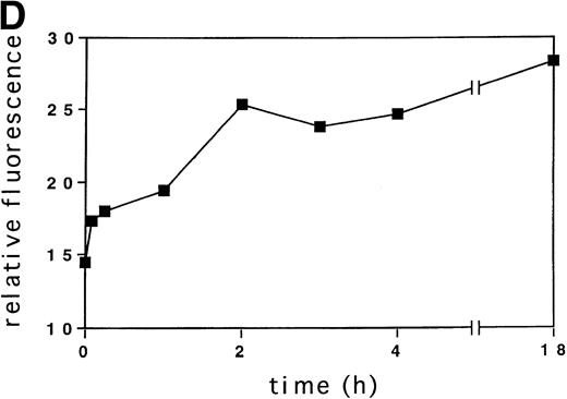 Fig. 1. GM-CSF, IL-3, SF, and TPO increase the intracellular level of ROS in hematopoietic cell lines. (A through C) The relative levels of ROS were measured in starved cells (dotted line) and in growth factor-treated cells (straight line) as indicated using 2’, 7’-dichloro-fluorescin-diacetate (bottom panel) or the autofluorescence of these cells was measured without fluorochrome (top panel). (A) MO7e cells were treated with either GM-CSF (10 ng/mL), IL-3 (10 ng/mL), SF (20 ng/mL), or TPO (100 ng/mL) for 18 hours. (B) TF1 cells were treated with either GM-CSF (10 ng/mL) or IL-3 (10 ng/mL) for 18 hours. (C) 32Dcl3 cells were treated with IL-3 (10 ng/mL) for 18 hours. (D) The increase in relative levels of ROS was measured in MO7e cells stimulated for 0 to 18 hours with 20 ng/mL GM-CSF.