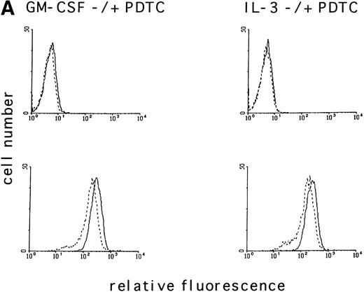 Fig. 2. The antioxidant PDTC reduces intracellular levels of ROS and cell growth in MO7e cells. (A) MO7e cells were stimulated for 18 hours with 10 ng/mL GM-CSF or 10 ng/mL IL-3 before treatment for 3 hours with 25 μmol/L PDTC (dotted line) or left untreated (straight line) as indicated. The autofluorescence of these cells (top panel) or the relative levels of ROS using 2’, 7’-dichloro-fluorescin-diacetate (bottom panel) were measured. (B) MO7e cells were treated with the indicated doses PDTC, NAC, and 2-mercaptoethanol (2-ME) for 72 hours, and cell growth was measured by trypan blue exclusion. The error bars indicate the standard error of the mean (SEM) (n = 4).