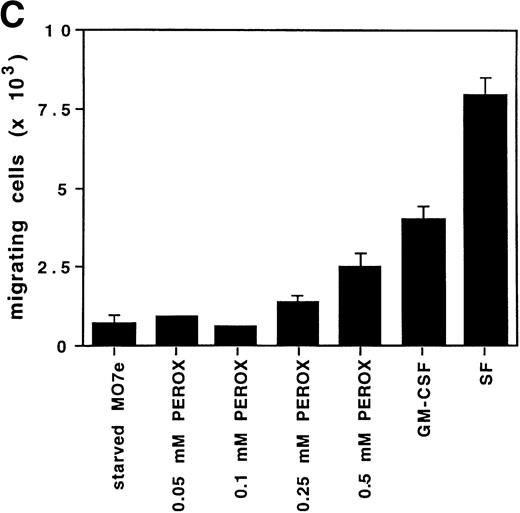 Fig. 4. H2O2 mimics GM-CSF–induced G1-S phase transition, early gene expresion, and random transwell migration in MO7e cells. (A) Gene expression was analyzed using mRNA from MO7e cells left untreated (CTRL) or stimulated for the indicated times with GM-CSF (20 ng/mL) or H2O2 (PEROX, 250 μmol/L). The expression of c-FOS and G3PDH was detected by Northern blotting using specific probes. (B) MO7e cells were either left untreated or treated with GM-CSF (20 ng/mL) or H2O2 (PEROX, 50 μmol/L). Cell cycle analysis was performed using propidium iodide at the indicated time points and the samples were analyzed by flow cytometry. (C) MO7e cells were either left untreated or treated with GM-CSF, SF, or H2O2 (PEROX) as indicated and used for a random transwell migration assay. The number of viable cells in the lower chamber was determined after 5 hours of migration by trypan blue exclusion. The error bars indicate the SEM (n = 4).