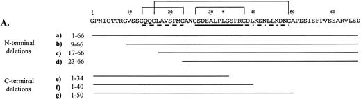 Fig. 1. Deletion analysis of the 66–amino acid segment from the N-terminus of human GPIIIa that is recognized by anti–HPA-1a antibodies. (A) Amino acid sequence of the immunoreactive 66–amino acid segment is shown above. *Site of the human polymorphism. Proposed loops of the cloverleaf structure are indicated, loop 1 (dashed line), loop 2 (solid line), and loop 3 (dashed and dotted line) with the proposed disulfide bonds between Cys13-Cys23, Cys26-Cys38, and Cys16-Cys49 shown with solid lines above the sequence. The deletion mutations and their sequences are shown below. (B) Results of an ELISA are graphically displayed. Letters (a-g) refer to deletion mutations illustrated in A. In this assay, microtiter wells were coated in triplicate with the deletion mutations (expressed as GST fusion proteins). An anti–HPA-1a antiserum was tested for its ability to bind the various human mutations. Antibodies bound were detected using Protein A/G conjugated with HRP, and TMB (tetramethylbenzidine) was used as the colorometric substrate. The average of the absorption at 450 nm of the triplicate was divided by the average of duplicate wells reacted with anti-GST. (C) Immunoblot (top box) of the deletion mutations incubated with the same anti–HPA-1a antiserum tested in ELISA, and corresponding Coomassie blue–stained SDS-polyacrylamide gel electrophoresis (PAGE) (bottom box) of deletion mutations. Molecular weight of the intact fusion protein, h3a 1-66, is indicated on the left of the blot and gel.