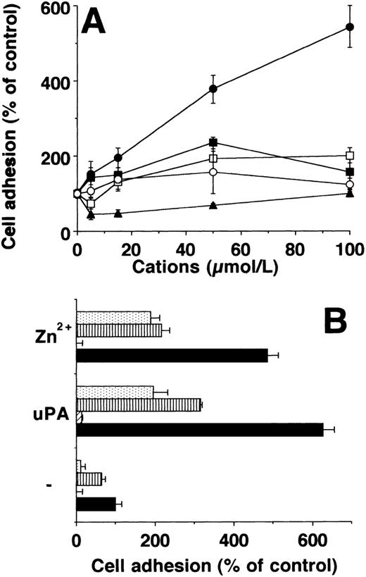 Fig. 1. Adhesion of U937 cells on vitronectin in response to divalent cations and uPA. (A) Differentiated U937 cells were allowed to adhere on VN in response to Zn2+ (•), Mn2+ (▪), Co2+ (□), Ni2+(○), or Cu2+ (▴). The data are expressed as percent of control as represented by adhesion of U937 cells in the absence of any stimulus (mean ± SEM, n = 3). Similar results were obtained in three separate experiments. (B) The adhesion of U937 on VN was performed without stimulus (−) or in the presence of 50 μmol/L Zn2+ or 50 nmol/L uPA respectively. In parallel wells, no other additives (▩) or 20 μg/mL of MoAb R3 against uPAR (▨), 10 μg/mL of MoAb 13H1 against VN (▥), or 100 nmol/L PAI-1 () were present. A control antibody (20 μg/mL) did not affect adhesion (not shown). Data are the mean ± SEM (n = 3) of a typical experiment. Similar results were obtained in three independent experiments.
