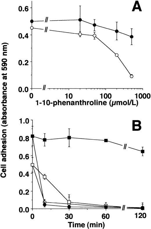 Fig. 2. Zn2+- and uPA-induced adhesion of U937 cells: effect of inhibitors. (A) Adhesion of U937 cells on VN-coated wells in response to 50 μmol/L Zn2+ (○) or 50 nmol/L uPA (•) was performed in the absence or presence of various concentrations of 1-10-phenanthroline. Basal adhesion in the absence of uPA or Zn2+ was 0.05 to 0.1 units of absorbance. Data represent the mean ± SEM (n = 3) of a typical experiment. Similar results were obtained in three separate experiments. (B) The adhesion of U937 cells in response to 50 nmol/L uPA (filled symbols) or 50 μmol/L Zn2+ (open symbols) was performed for 2 hours. Thereafter, 100 nmol/L PAI-1 (circles) or 500 μmol/L 1-10-phenanthroline (squares) was added for different time intervals as indicated, and residual adherent cells were quantitated. Data represent the mean ± SEM (n = 3) of a typical experiment. Similar results were obtained in three separate experiments.