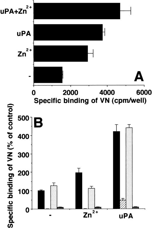 Fig. 4. Influence of Zn2+ on VN binding to uPAR. (A) Binding of 125I-VN to U937 cells was performed in the absence or presence of 50 μmol/L Zn2+ or 20 nmol/L uPA alone or added together as indicated. Data (mean ± SEM, n = 3) are expressed as specific binding (as determined by subtracting binding in the presence of excess unlabeled VN). (B) Binding of125I-VN to immobilized uPAR was performed in the absence or presence of 50 μmol/L Zn2+ or 20 nmol/L uPA, respectively. Either no additives (▩) or 20 μg/mL MoAb R3 against uPAR (▨), 500 μmol/L 1-10-phenanthroline (), or 100 nmol/L PAI-1 (▤) were included as competitors. Data (mean ± SEM, n = 3) are expressed as specific binding (represented as percent of control). Similar results were obtained in at least three separate experiments.