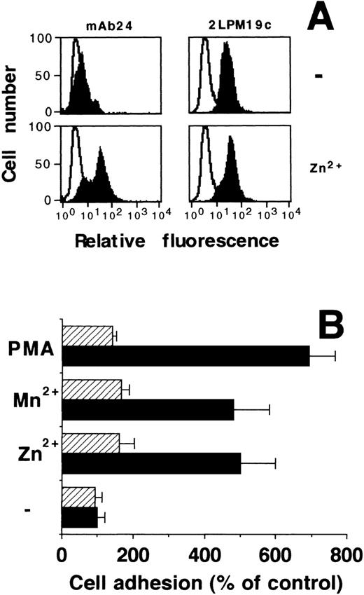 Fig. 7. Zn2+-dependent activation of β2-integrins and adhesion to endothelial cells. (A) Human myelomonocytic HL60 cells were incubated in the absence or presence of 100 μmol/L Zn2+ for 20 minutes at room temperature, and surface expression of an activation-dependent epitope (MoAb 24) on β2-subunit was quantitated by fluorescence-activated cell sorter (FACS) analysis (filled curves). For comparison, quantitative cell surface expression of β2-subunit was analyzed using MoAb 2LPM19c, which recognizes an epitope irrespective of the activation state of the integrin. Nonspecific fluorescence was determined using an isotype-matched mouse-IgG (open curves). The figure shows one of three representative experiments. (B) Differentiated HL60 cells, preincubated for 30 minutes in the absence or the presence of 100 μmol/L Zn2+, 0.5 mmol/L Mn2+, or 10 ng/mL PMA as indicated, were allowed to adhere to confluent endothelial cell monolayers in the absence (▩) or presence (▨) of MoAb 60.3 against β2-integrin. Data represent the mean ± SD (n = 3) of a typical experiment. Similar results were obtained in three separate experiments.