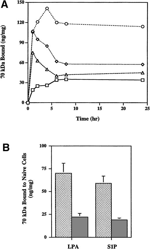 Fig. 3. Stability of S1P. (A) Time course of effects of LPA, nocodazole, and S1P on binding of 70-kD fragment to MG63 cells. Binding of 125I-70-kD fragment of fibronectin in the absence (□) or presence of 200 nmol/L LPA (◊), 10 μmol/L nocodazole (○), or 100 nmol/L S1P (▵) was determined at different time points. Specific binding was calculated by subtraction of nonspecific binding (in the presence of 500 mg/L unlabeled fibronectin) from total binding and expressed as nanograms of 70-kD fragment bound per milligram of cellular protein. Data represent the average of duplicates that varied by less than 10%. (B) 200 nmol/L LPA (LPA) or S1P (S1P) was preincubated with MG63 cells for 20 hours at 37°C (▩) or left at 37°C for 20 hours (▩) and was transferred to naive cells for a 45-minute 125I-70-kD fragment binding assay. Specific binding was calculated by subtraction of nonspecific binding (in the presence of 500 mg/L unlabeled fibronectin) from total binding and expressed as nanograms of 70-kD fragment bound per milligram of cellular protein. Data represent the mean ± SD (n = 3).