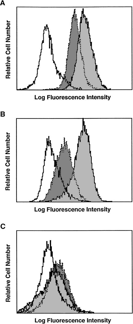 Fig. 1. Expression of CD40 on various human breast carcinoma cell lines. White shade with solid line is the msIgG1 control staining. Dark gray with dotted lines is CD40 staining. Light gray shade with solid lines is CD40 staining after overnight incubation of the cells with 500 U/mL interferon-γ. (A) T-47D, (B) MDA-231, and (C) normal mammary epithelial cell lines.