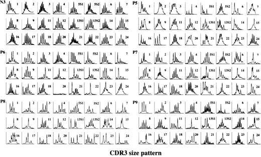 Fig. 2. CDR3 size distribution of TCR BV derived from BM T cells of CyA-dependent AA patients. TCR cDNA of another normal individual with HLA-DRB1*1501 (N3, normal no. 3) and patients no. 5-9 (P5-P9) whose hematopoietic function depended on continuous administration of CyA was analyzed. A large number of BV subfamilies (> 40%) of the patients displayed a skewed or collapsed pattern with a reduced peak number, indicating clonal or oligoclonal proliferation of T cells.