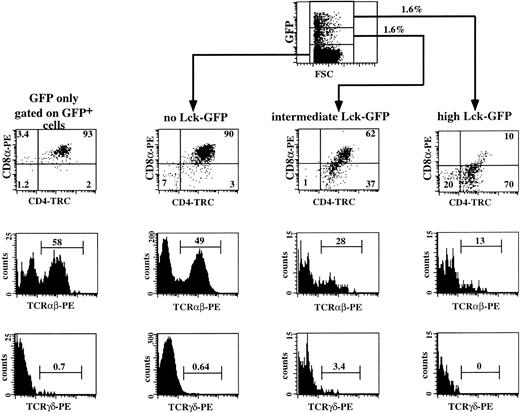Fig. 7. Three-color flow cytometric analysis of IRES-GFP and p56lckF505-IRES-GFP–transduced CD4 ISP thymocytes cultured in FTOC. CD4 ISP thymocytes were sorted and transduced with the retrovirus expressing either the control IRES-GFP or the p56lckF505-IRES-GFP construct (both 2.5 × 104 cells input) and cultured in FTOC for 12 days. Flow cytometric analysis of the control was performed after gating on the GFP+ cells (GFP only). Analysis of the FTOC incubated with the p56lckF505 transduced cells was done following gating on untransduced cells (no Lck-GFP), p56lckF505-IRES-GFP+ cells (intermediate Lck-GFP), and p56lckF505-IRES-GFP++ cells (high Lck-GFP). Numbers in the dot plots and histograms represent percentages of cells. Comparable percentages of GFP+cells were recovered from the FTOC (4.7% IRES-GFP+ and 3.2% p56lckF505-IRES-GFP+). The recoveries in absolute numbers were 4.1 × 105 cells from the IRES-GFP and 6.9 × 105 cells from the p56lckF505-IRES-GFP seeded cultures, respectively. We harvested comparable numbers of GFP+ cells (16,400 IRES-GFP+ cells and 20,700 p56lckF505-IRES-GFP+ cells, respectively).