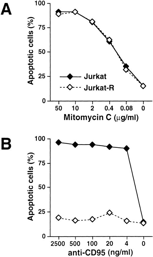 Fig. 1. Effects of mitomycin C and anti-CD95 in CD95-sensitive and resistant Jurkat cells. 3 × 104 CD95-sensitive (Jurkat; ——, ⧫) or resistant cells (Jurkat-R; -----, ◊) were stimulated with (A) mitomycin C or (B) agonistic anti-CD95 antibodies at the indicated concentrations for 24 hours. Cells in the absence of apoptotic stimuli were treated with the diluent of the respective highest drug concentration. Induction of apoptosis was assessed by propidium iodide staining of hypodiploid apoptotic nuclei and subsequent flow cytometry.