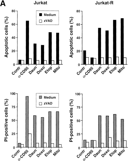 Fig. 4. Anticancer drugs mediate caspase-dependent apoptosis in the absence of CD95 signaling. (A) CD95-susceptible Jurkat or CD95-resistant Jurkat-R cells were pretreated with medium (▪ and ▧) or 100 μmol/L zVAD-fmk () for 1 hour, and subsequently stimulated with anti-CD95 (20 ng/mL), daunorubicin (Daun; 5 μg/mL), doxorubicin (Doxo; 1 μg/mL), etoposide (Etop; 25 μg/mL), or mitomycin C (Mito; 25 μg/mL). After 24 hours, induction of apoptosis was measured by propidium iodide staining of hypodiploid nuclei (upper panel) and cell death was determined by the uptake of propidium iodide in dead cells (lower panel). (B and C) stimulated were 1 × 106 Jurkat or Jurkat-R cells for the indicated time with (B) daunorubicin (5 μg/mL) or with (C) different concentrations of etoposide (25 μg/mL lanes 4,8; 12.5 μg/mL lanes 3,7; 6.25 μg/mL lanes 2,6 or diluent control lanes 1,5) for 6 hours. Cellular proteins were resolved on a 8% to 15% sodium dodecyl sulfate-polyacrylamide gel electrophoresis (SDS-PAGE) and caspase activity was detected by cleavage of the caspase-specific substrate PARP by using immunoblot analysis. Filled arrowheads (◂) indicate the uncleaved p116 and open arrowheads (◃) indicate the cleaved p89 form of PARP.