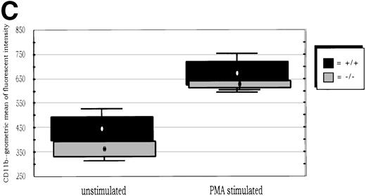 Fig. 2. (A) Neutrophil migration into the peritoneal cavity after thioglycollate challenge. At indicated time points after intraperitoneal thioglycollate injection, peritoneal cells were harvested by lavage, counted, and cytospins stained for differential counting. Results are represented graphically, showing the migration of neutrophils into the peritoneal cavity over time after thioglycollate stimulus. (○) Represent wild-type neutrophils; (•) represent C/EBPɛ-deficient neutrophils. An asterisk (*) indicates significantly increased numbers of wild-type neutrophils at 4 hours, compared with C/EBPɛ-deficient neutrophils (P < .001, Mann Whitney U). (B) CD11β expression on peritoneal neutrophils after thioglycollate challenge. Mice received thioglycollate intraperitoneally, and neutrophils were harvested at indicated time points. Cells were doubly stained with Gr-1(FITC) and CD11b(PE) and assessed by flow cytometry. Results are represented graphically, by geometric mean of fluorescent intensity. (○) Represent wild-type neutrophils; (•) represent C/EBPɛ-deficient neutrophils. CD11β staining is significantly decreased on C/EBPɛ-deficient neutrophils compared with wild-type cells (P < .004, Mann Whitney U) at 4 hours. By 24 hours, however, CD11β staining is more intense on C/EBPɛ-deficient cells (P < .004), compared with wild-type. CD11b staining of peripheral blood neutrophils is shown at time = 0. (C) CD11b expression on PMA-stimulated peripheral blood neutrophils. Peripheral blood neutrophils were stimulated with PMA, stained with -Gr-1 (PE) and -CD11b (FITC), and examined by flow cytometry. Results are represented by box and whisker graph, showing mean, standard deviation, and standard error of fluorescent intensity. (▪) Represent wild-type neutrophils, gray boxes represent C/EBPɛ-deficient neutrophils. (D) L-selectin (CD62L) expression on peritoneal neutrophils after thioglycollate challenge. Peritoneal lavage cells were harvested at indicated time points and doubly stained with Gr-1(FITC) and anti-mouse CD62L(PE) and assessed by flow cytometry. Results are represented graphically, by geometric mean of fluorescent intensity. (○) Represents wild-type neutrophils; (•) represents C/EBPɛ-deficient neutrophils. Circles graphed at 0 hours represent data obtained from circulating neutrophils from nonchallenged mice (P < .001, Mann Whitney U). L-selectin staining is significantly increased on C/EBPɛ-deficient neutrophils compared with wild-type cells (P< .04, Mann Whitney U) at 4 hours. By 24 hours, however, L-selectin expression is higher on wild-type neutrophils (P < .02, Mann Whitney U) compared with C/EBPe-deficient neutrophils.