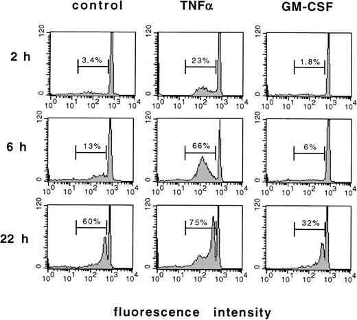 Fig. 1. Loss of DNA content in PMN undergoing apoptosis as measured by flow cytometry of prodium iodide–stained PMN. Original recordings of fluorescence histograms of PMN freshly isolated from the circulation, aged for 2, 6, or 22 hours in culture without further stimulation (control), or treated with 300 U/mL TNF- or 300 U/mL GM-CSF, respectively. Numbers indicate apoptotic PMN in percent of total cell number. Results are representative of 12 independent experiments.