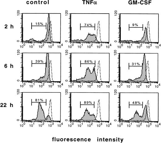 Fig. 3. Induction or prevention of apoptosis by cytokines as measured by analysis of CD16 expression. Flow cytometric analysis of DNA content using the FITC-labeled anti-CD16 MoAb. PMN freshly isolated from the circulation (dotted line) were stimulated for 2, 6, or 22 hours with 300 U/mL TNF-, 300 U/mL GM-CSF, or left untreated (control), respectively. Numbers indicate the cells with low CD16 expression in percent of total cell number. Results are representative of three independent experiments.