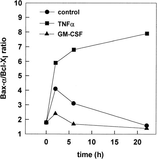 Fig. 7. Alteration of the Bax-/Bcl-Xl ratio upon induction or prevention of apoptosis. The Bax-/Bcl-Xlratio was calculated from mean OD of Bax- and Bcl-Xlobtained in the three independent cell experiments described in Fig6.