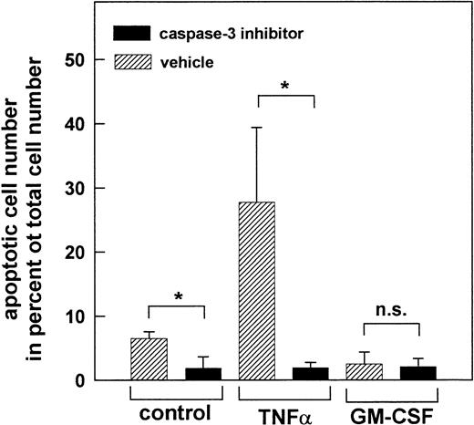 Fig. 10. Prevention of apoptosis by inhibition of caspase-3. PMN were treated for 1 hour at 37°C with 200 μmol/L of the caspase-3 inhibitor Z-DEVD-FMK or left untreated (vehicle) before stimulation for 2 hours with 300 U/mL TNF-, 300 U/mL GM-CSF, or left untreated (control), respectively. Data represent apoptotic PMN in percent of total cell number. Mean ± SD of three independent experiments. *P < .05; n.s., not significant.