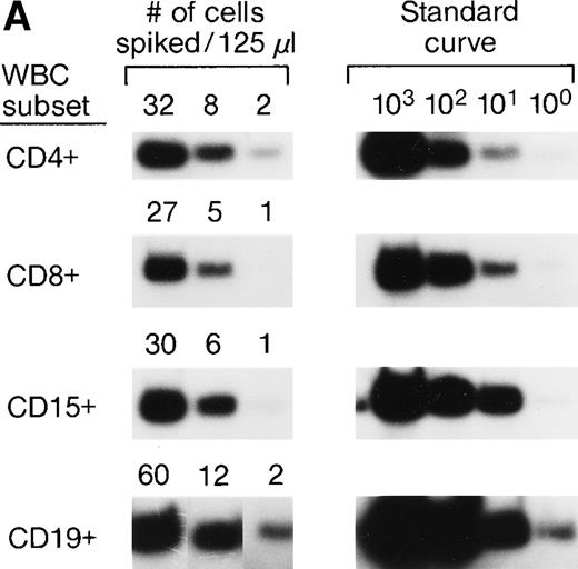 Fig. 1. (A) Representative results of sensitivity of QAS-PCR detection of male donor WBCs in enriched subpopulations from spiked female blood. Four different male donor blood samples with known leukocyte concentrations were diluted fourfold, and serial dilutions were spiked into four different female recipient whole blood samples. For the assay of CD4+ cells, three different levels of male CD4+ cells (32, 8, and 2) were spiked into female blood, and for CD8+ cells, 27, 5, or 1 male CD8+ cells were spiked. For the CD15+ cell assay, 30, 6, or 1 male CD15+ cells were spiked, and for the CD19+ cell assay, samples containing 60, 12, or 2 male CD19+ cells were created. Each dilution was then processed through the assay protocol. (B) Representative results of QAS-PCR reproducibility (6×) for male donor CD4+ cells spiked into female whole blood.