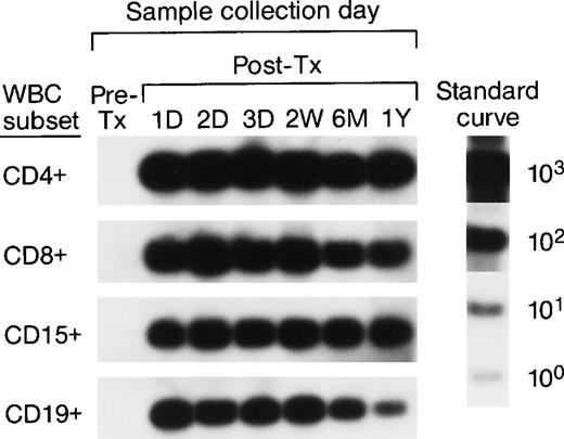 Fig. 4. QAS-PCR results (including CD4+, CD8+, CD15+, and CD19+) for female trauma tx recipient E. All samples were subjected to the enrichment of CD4+, CD8+, CD15+, and CD19+ leukocyte subpopulations, followed by amplification and hybridization using human Y-chromosome–specific primers and probe.