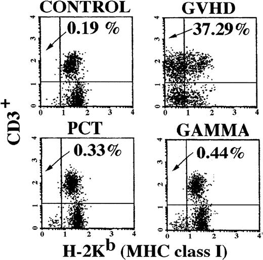 Fig. 1. Engraftment of donor T cells in spleens of recipient mice. Analysis of recipient spleens for the presence of donor-derived T cells was performed 2 weeks after transfusion. Splenocytes were analyzed using two-color flow cytometry with antibodies for CD3+ cells on the vertical axis and recipient specific MHC class I H-2b on the horizontal axis. Donor T cells appear in the upper left-hand quadrant. Spleens of two mice in each group were analyzed and the figure shown is representative of both mice in their respective group. As expected, mice in the control group had no allogeneic donor T cells present in their spleens 2 weeks after transfusion. Mice in the GVHD group had 37% donor-derived T cells. Mice in the PCT and Gamma groups had no evidence of donor-derived T cells in their spleens, similar to the control group.