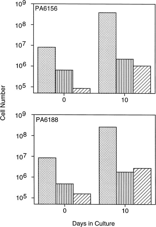 Fig. 1. Expansion of baboon CD34+ cells and progenitor cells in PMVEC coculture. Bone marrow CD34+cells from two baboons were immunomagnetically selected using the MoAb K6.1 and used to inoculate 10-day expansion cultures in coculture with the porcine microvascular endothelial cell line PMVEC in the presence of exogenous human SCF, IL-3, IL-6, and GM-CSF. The total number of CD34+ cells (dots), CFU-GM (vertical lines), and CAFC (diagonal lines) were determined flow cytometrically, by methylcellulose culture, and by limiting-dilution assay on murine stromal fibroblasts, respectively, at inoculation (day 0) and at harvest (day 10) immediately before infusion into the animals.