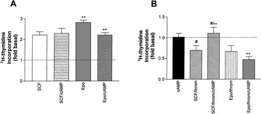 Fig. 8. Effect of cAMP on growth factor–induced DNA synthesis in human erythroid progenitors. (A) 8-Br-cAMP (cAMP, 1 mmol/L) in the extracellular medium caused a significant inhibition (**P < .01 by paired t-test) of Epo (0.5 U/mL)-induced thymidine incorporation while SCF (50 ng/mL)-dependent incorporation remained unaffected. Values represent means ± SEM of 6 to 15 separate cultures from 2 to 5 different batches of cells. (B) Effect of 8-Br-cAMP on the thrombin-induced inhibition of Epo and SCF-dependent DNA synthesis. cAMP alone left basal DNA synthesis (dotted line) unchanged (leftmost column). Note that cAMP antagonized the effect of thrombin in the presence of SCF but not in the presence of Epo. Columns show means ± SEM from 6 to 9 separate cultures from 2 to 3 different batches of cells (**P < .001; #P < .05 by t-test).
