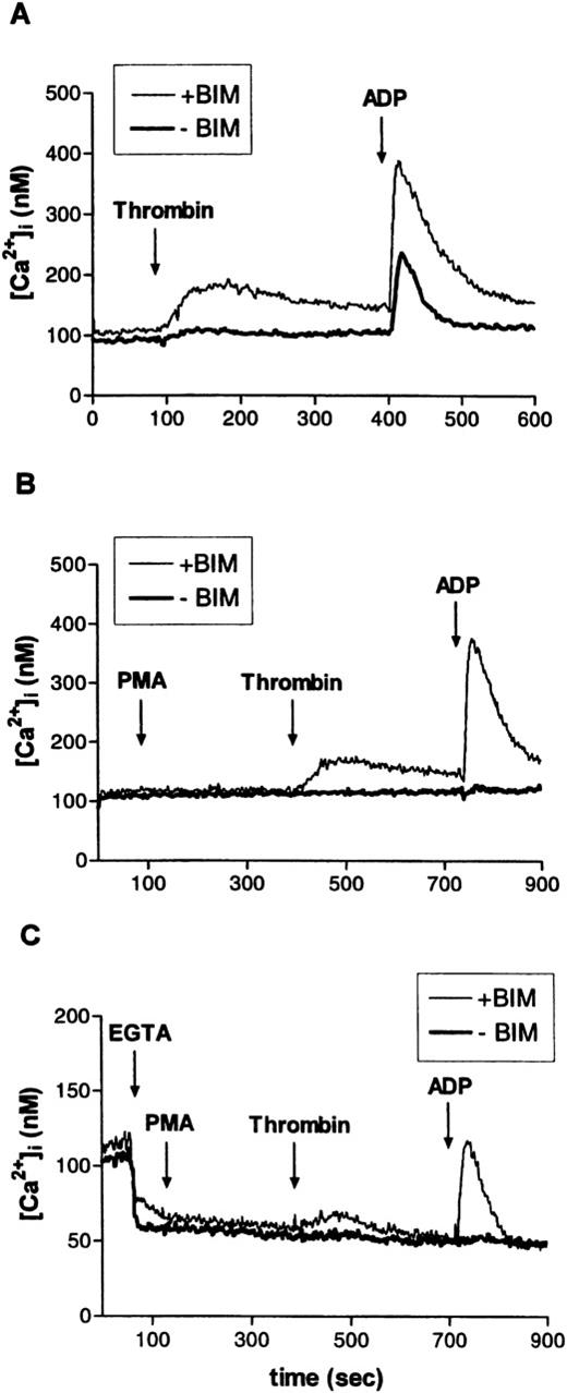 Fig. 9. Effect of PKC activation or inhibition on thrombin- or ADP-induced intracellular Ca2+-transients in human erythroid progenitors. (A) The PKC inhibitor BIM (30 μmol/L) markedly enhanced thrombin (2 U/mL)- or ADP (10 μmol/L)-evoked cellular Ca2+-release. (B) Stimulation of PKC with PMA (10 nmol/L) abolished the effect of thrombin and of ADP. (C) Addition of EGTA (4 mmol/L) to the experimental medium. Ca2+-release from internal stores by thrombin or ADP was similarly blocked by PKC activation. Results are representative for two to eight independent experiments.
