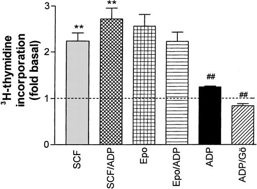 Fig. 10. Effect of ADP on Epo- and SCF-induced DNA synthesis in progenitor cells. ADP (20 μmol/L) significantly (**P < .001, paired t-test) enhanced SCF-stimulated thymidine incorporation while no significant effect on Epo-stimulated activity was observed. In the absence of growth factors, ADP had a significant (P < .01) stimulating effect on the basal rate of DNA synthesis (dotted line) that was completely blocked by the PKC inhibitor Gö 6976 (##P < .001). Columns show means ± SEM from five to eight independent experiments.