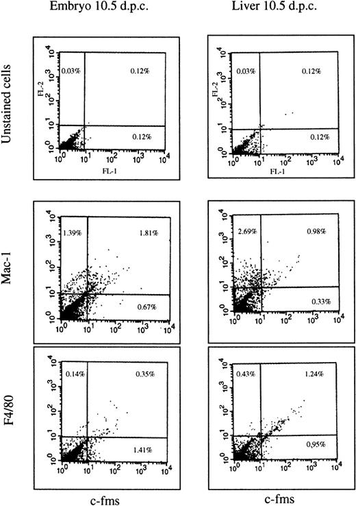 Fig. 2. FACS profiles of embryonic cells. The cells were isolated from the liver of 10.5 dpc embryo or from the rest of the body and stained by immunofluorescence for each of the antibody markers shown as described in Materials and Methods. Three antibodies are the same rat IgG2b isotype. No staining above the autofluorescence background was observed with an irrelevant antibody of the same isotype. The unstained cells in the upper two panels were stained with second antibody alone. Numbers on each panel represent the percentage of the total cell population falling within the quadrant indicated. A total of 104 cells was counted in each experiment. The overall pattern is representative of two independent cell isolations from a litter of pooled embryos at 10.5 dpc.