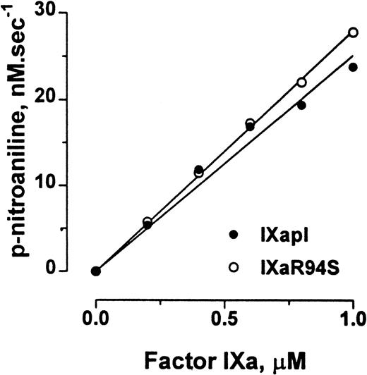 Fig. 7. Comparison of the amidolytic activity of plasma factor IXa and factor IXaR94S. Varying concentrations of plasma factor IXa (○) or factor IXaR94S (•) were incubated with 2.5 mmol/L CHG-GR-pNA in TBS containing 0.1% BSA, and the increase in absorbance at 405 nm with time was measured. The initial velocity of p-nitroaniline formation is expressed as a function of enzyme concentration. The solid lines represent the linear regression fit to the data. The observed rate of hydrolysis of CHG-GR-pNA by plasma factor IXa and factor IXaR94S was 1.51 ± 0.06 min−1 and 1.68 ± 0.02 min−1, respectively.