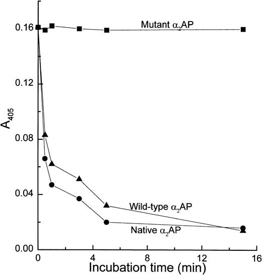 Fig. 2. Plasmin-inhibitory activity of native, wild-type, and mutant 2AP. Each 2AP was incubated with an equimolar amount of plasmin for selected incubation periods, and then residual plasmin activity was assayed using a plasmin chromogenic substrate (S-2251) as described in Materials and Methods. Each data point is the average of two experiments.
