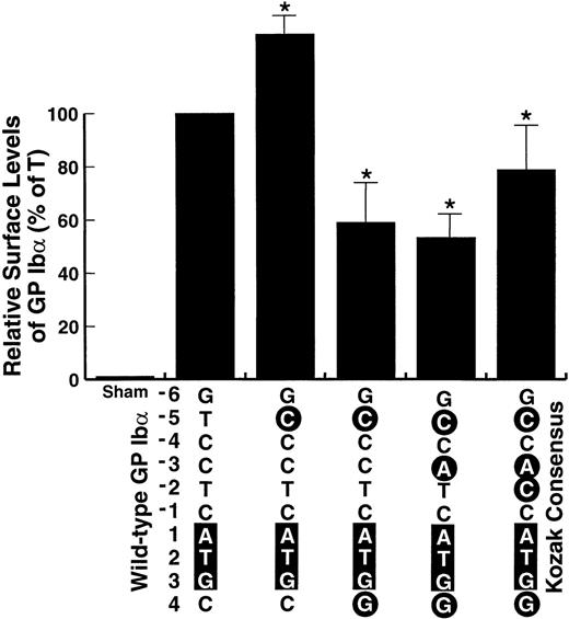 Fig. 4. Effect of additional mutations of the GP Ib Kozak sequence on surface expression of the GP Ib-IX complex in transfected cells. Additional mutations surrounding the GP Ib start codon were made as indicated, with each successive mutation rendering the sequence closer to the consensus sequence derived by Kozak, shown at the right. Expression of the mutants is expressed as a percentage of the expression in cells transfected with the wild-type GP Ib cDNA. *The decrease in expression from these mutants as compared with wild-type GP Ib was statistically significant.
