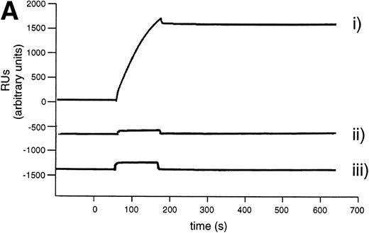 Fig. 5. Kinetic stability of the L19 / ED-B complex. (A) Real-time interaction analysis of the antigen binding properties of antibody solutions detected using a BIAcore instrument. (i) ScFv(L19) binding to recombinant ED-B immobilized on a microsensor chip. Note that after the initial baseline, the antibody binding to the antigen is detected as an increase of resonance units (RUs). The following flat dissociation profile demonstrates the kinetic stability of the complex. (ii) scFv(D1.3) binding to the ED-B-coated sensor chip of (I). (iii) scFv(L19) binding to a microsensor chip coated with hen egg lysozyme. Specific antigen binding is detected only in sensorgram (I). (B) Measurement of the kinetic dissociation constant of125I-labeled L19/ED-B complex immobilized on a microtiter plate, by competition of the complex with a molar excess of unlabeled recombinant ED-B and radioactive counting (see Materials and Methods).