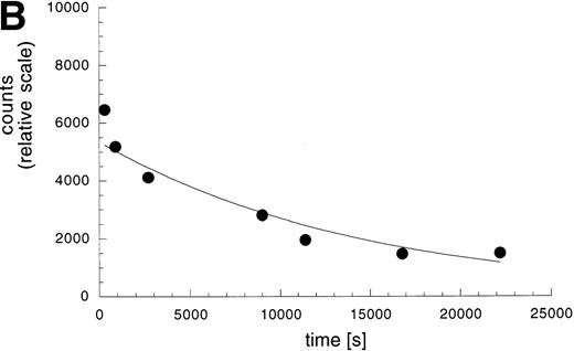 Fig. 5. Kinetic stability of the L19 / ED-B complex. (A) Real-time interaction analysis of the antigen binding properties of antibody solutions detected using a BIAcore instrument. (i) ScFv(L19) binding to recombinant ED-B immobilized on a microsensor chip. Note that after the initial baseline, the antibody binding to the antigen is detected as an increase of resonance units (RUs). The following flat dissociation profile demonstrates the kinetic stability of the complex. (ii) scFv(D1.3) binding to the ED-B-coated sensor chip of (I). (iii) scFv(L19) binding to a microsensor chip coated with hen egg lysozyme. Specific antigen binding is detected only in sensorgram (I). (B) Measurement of the kinetic dissociation constant of125I-labeled L19/ED-B complex immobilized on a microtiter plate, by competition of the complex with a molar excess of unlabeled recombinant ED-B and radioactive counting (see Materials and Methods).