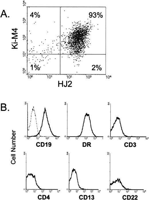 Fig. 1. Phenotype and purity of FDCs isolated from human tonsils. In (A), isolated HJ2+ cells were stained with Ki-M4 followed by PE-conjugated goat anti-mouse IgG specific antibodies. In (B), isolated cells were stained with PE-conjugated primary antibodies, and HJ2+ cells were examined for red fluorescence. The dotted line represents the fluorescent profile of HJ2+cells stained with a PE-conjugated isotype-matched control antibody. Ten thousand cells are displayed in each profile.