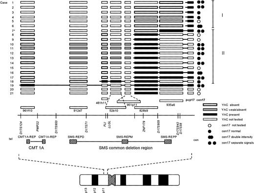 Fig. 1. Summary of the FISH results. Each case number (1-21) is indicated to the left. For clarity, the cases were ordered depending on their breakpoint location, allowing further assignment into two different groups (I and II; indicated to the right). The symbols used to designate the result of a FISH experiment are indicated at the bottom right of the figure. The approximate locations of the YAC clones used, in relation to selected markers and genes on the physical map, is based on the results reported by Chen et al, 1997,18 and public available databases (see Materials and Methods). TheCMT1A locus and SMS common deletion region, together with the repetitive sequence elements (CMT1A-REP, and SMS-REP) contained within these regions, are indicated below the physical map. At the bottom, an ideogram of chromosome 17 is depicted, showing the approximate location of the region investigated. *Case 7 showed a split signal using YAC 935a6, with one signal on each q arm (see results and Fig 2C). For abbreviations used, see text.