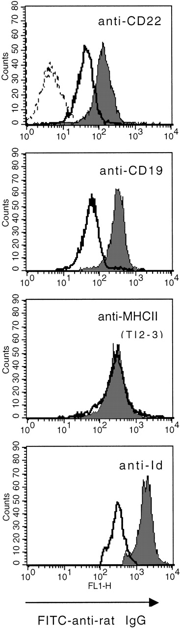Fig. 4. Changes in the level of surface MoAb after treatment in vivo. BCL1-bearing mice were treated with 0.5 mg of anti-CD19, anti-CD22, anti-Id, anti-MHCII (TI2-3), or control IgG (Materials and Methods). Sixteen hours later spleen cells were taken and any MoAb remaining at the tumor surface detected by adding FITC-mouse anti-rat IgG polyclonal Ab. PE–anti-Id MoAb was also added to the staining mixture to allow gating on the tumor cells. The dotted histogram in the anti-CD22 MoAb box shows background staining with FITC–anti-rat IgG. These cells were taken from mice treated with control IgG. The solid histogram shows the maximum level of FITC-staining obtained when cells from mice treated with control IgG were stained in vitro with a saturating level of MoAb (25 μg/mL anti-CD22, anti-CD19, anti-Id, or anti-MHCII as indicated in each box). The open histograms (solid lines) show the level of MoAb remaining on the surface of tumor cells when they were recovered from mice treated with MoAb. Mice treated with anti-CD22, anti-CD19, and anti-Id MoAb show evidence of clearing in vivo; anti-MHCII MoAb does not.