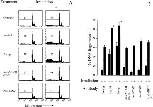 Fig. 7. Growth arrest and apoptosis of πBCL1 cells treated with external beam irradiation and MoAb. πBCL1cells were either treated with 2 Gy external beam irradiation, or remained untreated, before being cultured for 72 hours in 24-well plates, which were either coated (or uncoated) with MoAb as indicated. The cells were then harvested after 72 hours, stained with PI to detect DNA content, and analyzed by flow cytometry. (A) Flow cytometry histograms for one typical experiment. The horizontal bars show the gated areas representing fragmented DNA (indicative of apoptosis). The percentage of DNA within each gate is shown. (B) Average (+SD) of three similar experiments to that in Fig 7A. The * indicates statistical significance (P < .01) over other combinations of MoAb and irradiation.