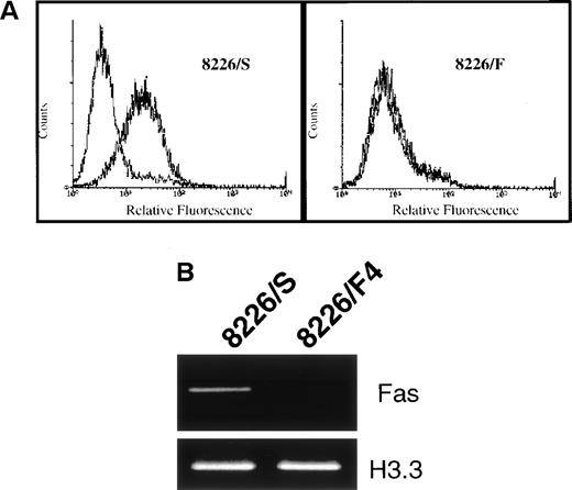 Fig. 2. (A) Surface expression of the CD95 antigen in cells selected for resistance to CD95-mediated apoptosis. Cells were stained with the non–apoptosis-inducing antibody UB2 and analyzed by flow cytometry. In the 8226/F4 cell line, the UB2-specific staining completely overlaps the isotype control. (B) RT-PCR of CD95 antigen mRNA expression. Total RNA was extracted from 8226/S and 8226/F4 cells, and the CD95 antigen expression determined by RT-PCR as previously described. Histone 3.3 was amplified as a control for RNA integrity and equal gel loading.