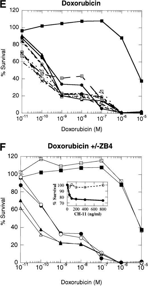 Fig. 4. Dose-response profiles of 8226 myeloma cells selected for resistance to CD95-mediated apoptosis. Cells were plated in 96-well plates at 5 × 104/mL with the indicated concentrations of chemotherapeutic drugs. Percent survival was determined by MTT dye reduction after 96 hours of drug exposure, and the IC50calculated by linear regression analysis. Each drug was examined by three independent assays with eight replicates per assay. (A) VP-16; (B) ara-C; (C) vincristine; (D) mitoxantrone; (E) doxorubicin; (F) doxorubicin ± ZB4. (•), 8226/S; (▪), 8226/Dox40; (▴), 8226/F4. For plots A, B, C, D, and E, open symbols represent individual clones of 8226/F4. In plot F, open symbols show the effects of 1 hour of preincubation with 500 μg/mL ZB4 on doxorubicin cytotoxicity or CH-11–mediated apoptosis (inset).