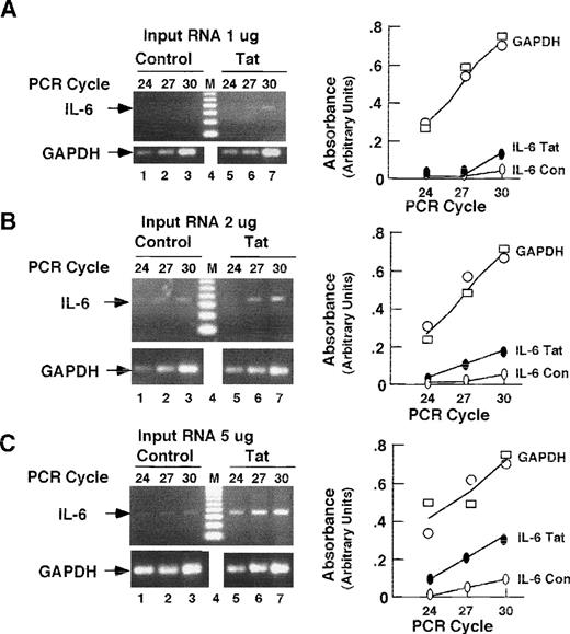 Fig. 5. RT-PCR detection of IL-6 and IL-10 mRNA in spleens of Tat-transgenic mice. Whole-cell RNA from the spleens of age-matched control and β-actin–Tat-transgenic mice was reverse transcribed and subjected to PCR using primers specific for IL-6 mRNA (A through C), IL-10 mRNA (D through F), and GAPDH mRNA (internal control; A through F). RT-PCR was performed with 1 μg of input RNA (A and D), 2 μg (B and E), and 5 μg (C and F). PCR products were size-separated and visualized by staining with ethidium bromide. Stained gels were photographed and the PCR products quantitated by scanning with a laser densitometer. M, 100-bp ladder. The areas of the IL-6 (A through C), IL-10 (D through F), and GAPDH (control) peaks are plotted against PCR cycle number. IL-6 Tat, measurement of IL-6 mRNA in Tat-transgenic mice. IL-6 Con, measurement of IL-6 mRNA in control mice. IL-10 Tat, measurement of IL-10 mRNA in Tat-transgenic mice. IL-10 Con, measurement of IL-10 mRNA in control mice. Open circles, GAPDH in Tat-transgenic mice; Open squares, GAPDH in control mice; The analyses of IL-6, IL-10, and GAPDH were performed at the same time on the same splenic RNA samples. The analyses shown in (A) and (B) were performed on Tat-transgenic line 29. Parallel experiments conducted on line 21 yielded similar results.
