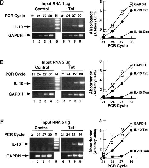 Fig. 5. RT-PCR detection of IL-6 and IL-10 mRNA in spleens of Tat-transgenic mice. Whole-cell RNA from the spleens of age-matched control and β-actin–Tat-transgenic mice was reverse transcribed and subjected to PCR using primers specific for IL-6 mRNA (A through C), IL-10 mRNA (D through F), and GAPDH mRNA (internal control; A through F). RT-PCR was performed with 1 μg of input RNA (A and D), 2 μg (B and E), and 5 μg (C and F). PCR products were size-separated and visualized by staining with ethidium bromide. Stained gels were photographed and the PCR products quantitated by scanning with a laser densitometer. M, 100-bp ladder. The areas of the IL-6 (A through C), IL-10 (D through F), and GAPDH (control) peaks are plotted against PCR cycle number. IL-6 Tat, measurement of IL-6 mRNA in Tat-transgenic mice. IL-6 Con, measurement of IL-6 mRNA in control mice. IL-10 Tat, measurement of IL-10 mRNA in Tat-transgenic mice. IL-10 Con, measurement of IL-10 mRNA in control mice. Open circles, GAPDH in Tat-transgenic mice; Open squares, GAPDH in control mice; The analyses of IL-6, IL-10, and GAPDH were performed at the same time on the same splenic RNA samples. The analyses shown in (A) and (B) were performed on Tat-transgenic line 29. Parallel experiments conducted on line 21 yielded similar results.