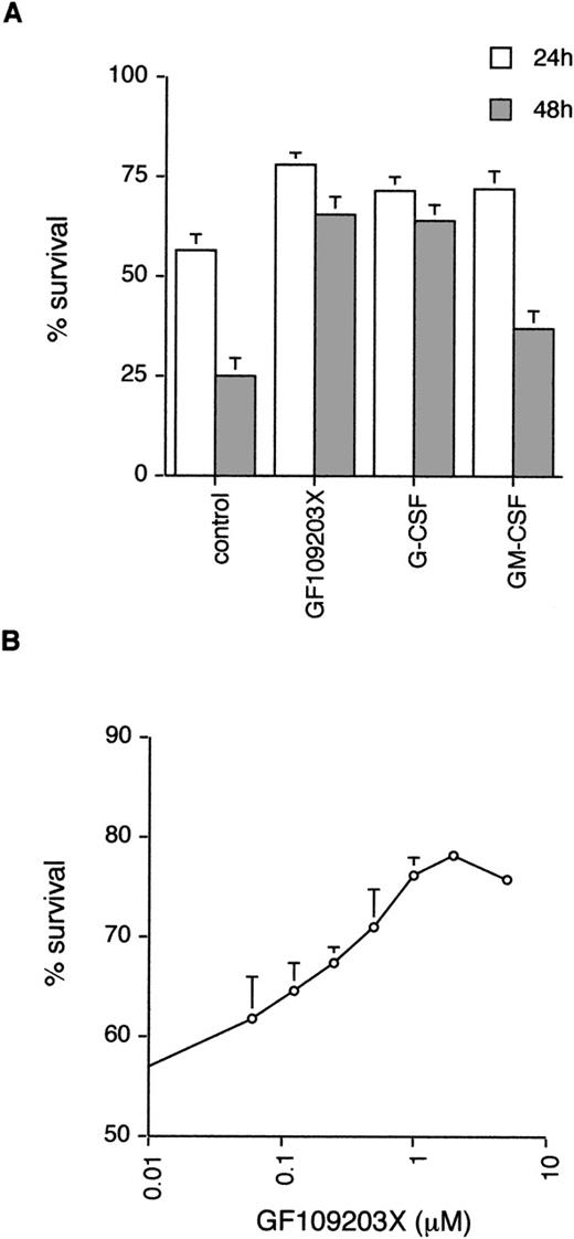Fig. 1. Effect of the PKC inhibitor, GF109203X, on neutrophil apoptosis. (A) Neutrophils were incubated in the absence (control) or presence of GF109203X (1 μmol/L), G-CSF (50 ng/mL), or GM-CSF (10 ng/mL) and apoptosis quantified by annexin V binding/flow cytometry at 24 and 48 hours. Mean ± standard error (SE) of 11, 10, and 8 separate experiments for GF109203X, G-CSF, and GM-CSF, respectively. (B) Concentration response curve for effects of GF109203X on neutrophil survival. Cell death was measured at 24 hours by annexin V binding and flow cytometry. Mean ± SE of three separate experiments.