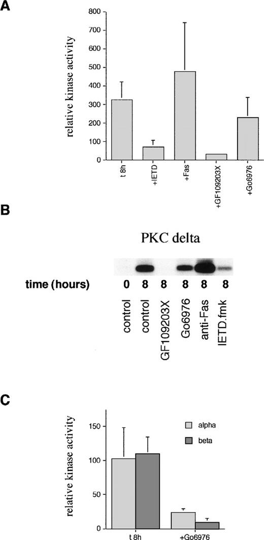 Fig. 5. Measurement of PKC kinase activity in aged neutrophils. (A) Neutrophils were incubated in the absence (t8h) or presence of the caspase-8 inhibitor, IETD.fmk (25 μmol/L), agonistic anti-Fas antibody (500 ng/mL), PKC inhibitor, GF109203X (1 μmol/L), or PKC inhibitor, Gö6976(1 μmol/L) for 8 hours. PKCδ was then immunoprecipitated using an anti–C-terminal antibody from neutrophil lysates and subjected to a kinase assay using histone H1 as a substrate. Due to the competitive, reversible nature of the PKC inhibitors (which would wash out during the immunoprecipitation protocol), further compound was added to a final concentration of 500 nmol/L to the kinase mixture before the addition of ATP. Phosphorylation of substrate was quantified after autoradiography and normalized to the time 0 value (100%). Results are mean ± SE of three separate experiments. (B) Representative autoradiograph from a PKCδ kinase assay. (C) PKCs and βΙΙ were immunoprecipitated using anti–C-terminal antibodies after neutrophil aging for 8 hours in the absence or presence of the PKC inhibitor, Gö6976, and subjected to a kinase assay using histone H1 as a substrate as detailed above. Mean ± SE of three separate experiments.