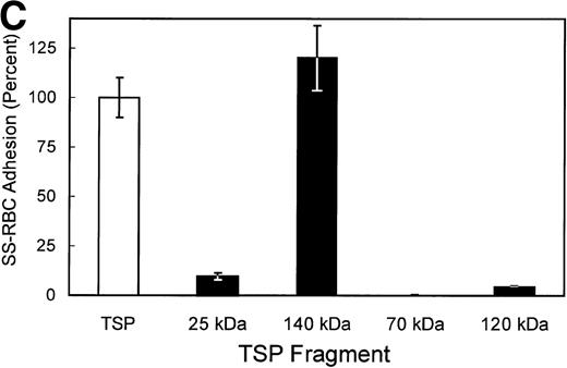Fig. 1. SS-RBCs bind to the 140-kD carboxy-terminal proteolytic fragment of TSP. (A) Schematic illustration of intact TSP with selected domains as described in the text (HBD, heparin-binding domain; type 1, type 1 repeats; type 2, type 2 repeats; Ca++ Binding, Ca2+-binding domains or type 3 repeats; CBD, cell-binding domain). The approximate locations of the 25-kD, 140-kD, 120-kD, and 70-kD proteolytic fragments as identified by amino-terminal sequencing and size162932are indicated by arrows. The 25-kD fragment is a monomer,16the 70-kD, 120-kD, and 140-kD fragments are trimers,32 and the 18- to 20-kD C-terminal fragment remains disulfide linked to the 120-kD fragment.31 (B) Proteolytic digestion and purification of TSP fragments. TSP purified from platelet releasate was treated with thermolysin and purified by heparin-Sepharose affinity chromatography, or chymotrypsin in the presence of Ca2+or EDTA and purified by gel-filtration FPLC as described in Materials and Methods. Intact TSP (TSP), proteolyzed TSP (Thermolysin, Chtpn), or purified proteolytic fragments (140 kDa, 25 kDa, 70 kDa, 120 kDa) were resolved by 4% to 12% SDS-PAGE and stained with Coomassie Blue. (C) Washed SS-RBCs were perfused through parallel plate flow chambers coated (2 μg/cm2) with intact TSP (TSP, N = 12) or purified 25-kD (25 kDa, N = 4), 140-kD (140 kDa, N = 4), 70-kD (70 kDa, N = 4), or 120-kD (120 kDa, N = 4) TSP fragments at a wall shear stress of 1 dyne/cm2. After rinsing, adherent RBCs per unit area were counted by direct microscopic visualization. The results are shown as the mean ± SE of SS-RBC adhesion, normalized to SS-RBC adhesion to intact TSP.